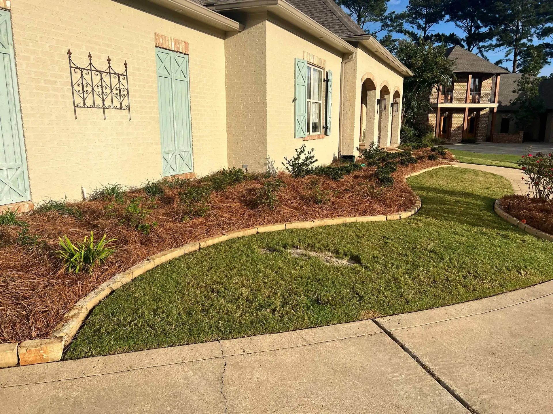 A beige house with light blue shutters, a brown mulch bed with greenery and a curved lawn border.