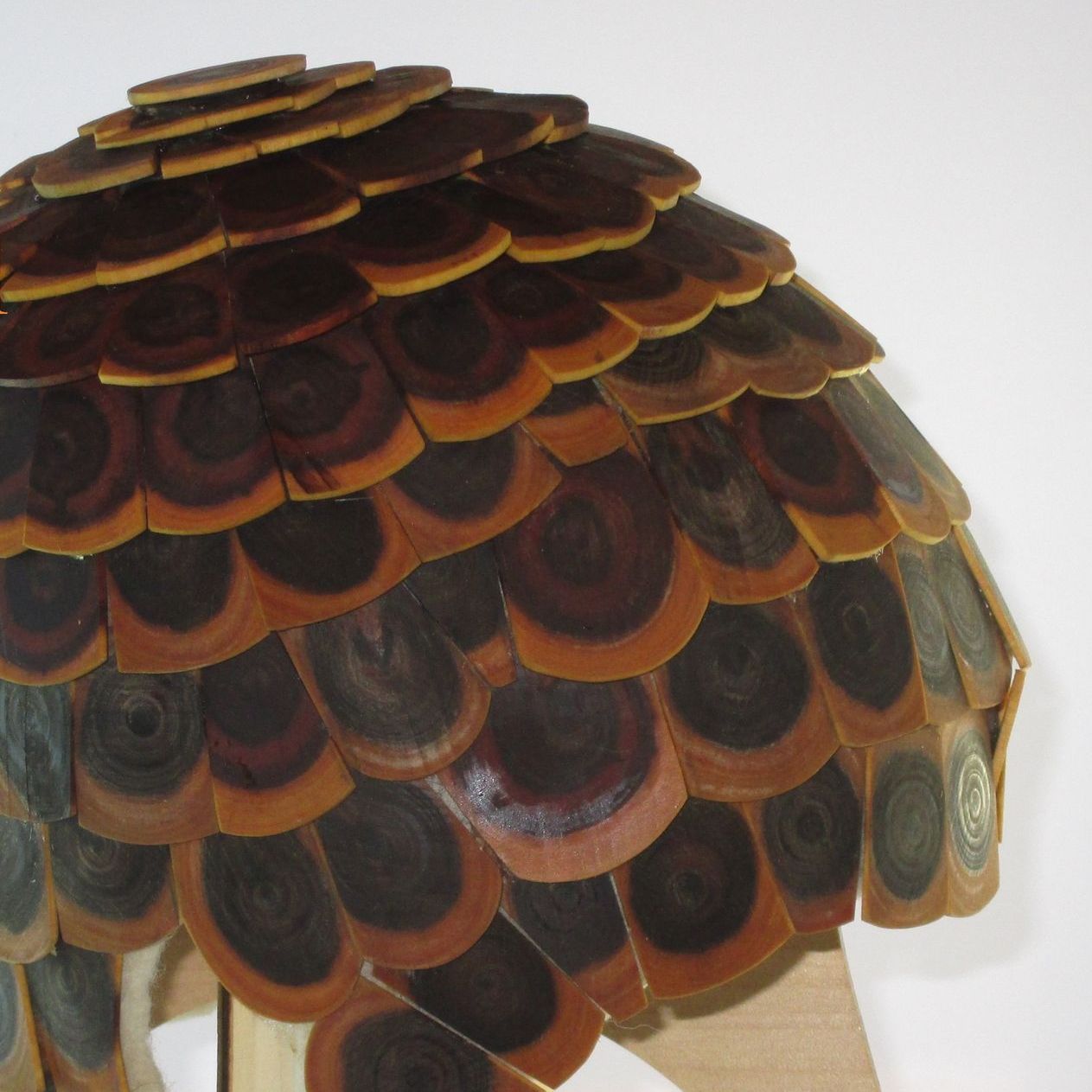 A sculpture of a bird 's feathers is sitting on a white surface