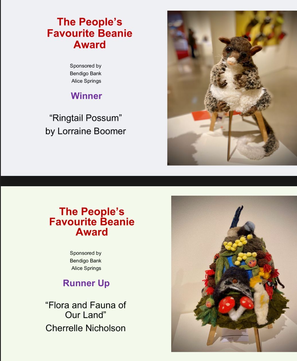 A flyer for the people 's favourite beanie award