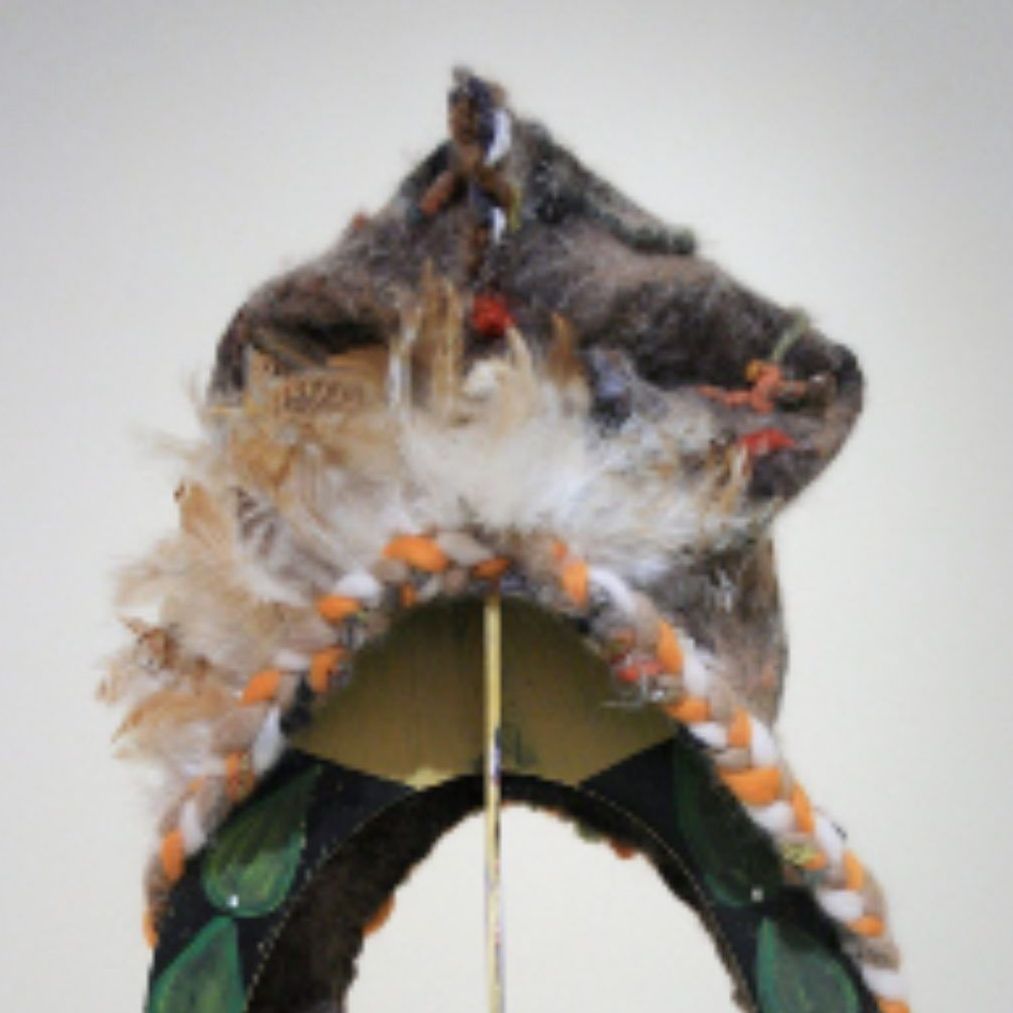 A close up of a feathered object with the letter n on it