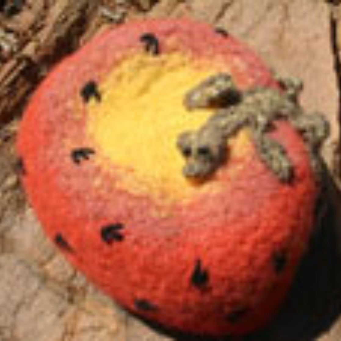 A close up of a strawberry on a rock