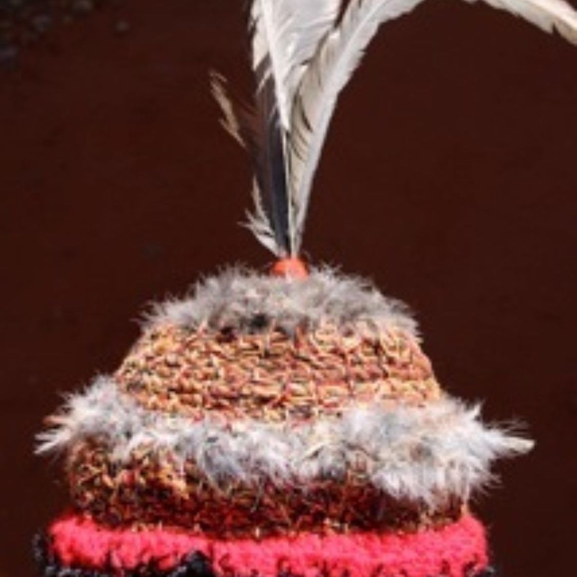 A hat with a feather on top of it