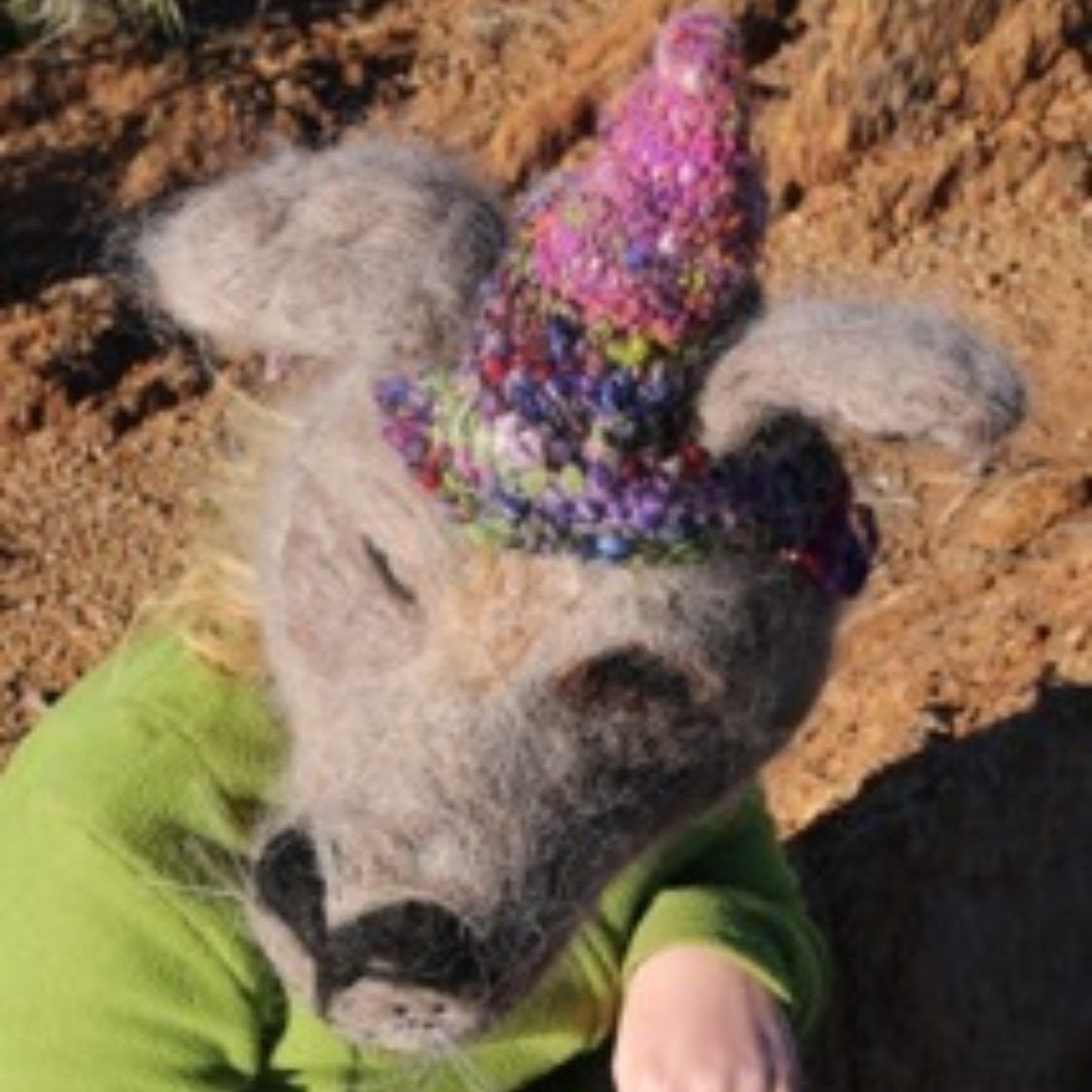 A stuffed animal wearing a green shirt and a purple hat