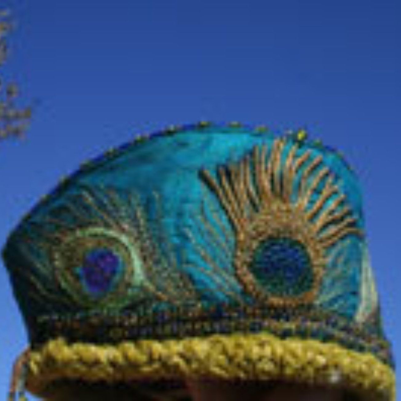 A person wearing a peacock feather hat with a blue sky in the background.
