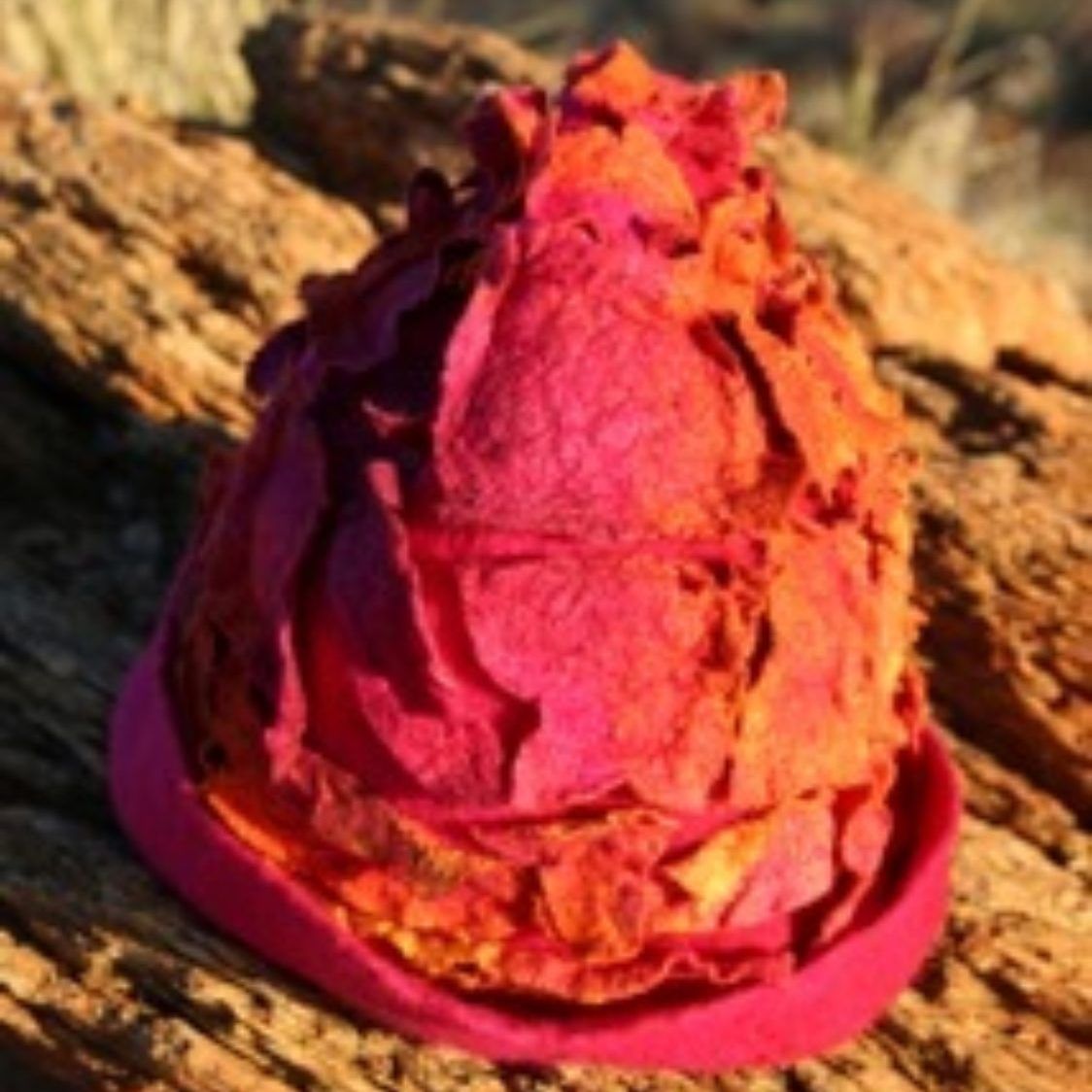 A pink and orange flower is sitting on a rock