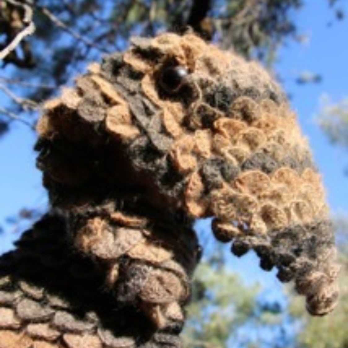 A close up of a stuffed animal that looks like an armadillo