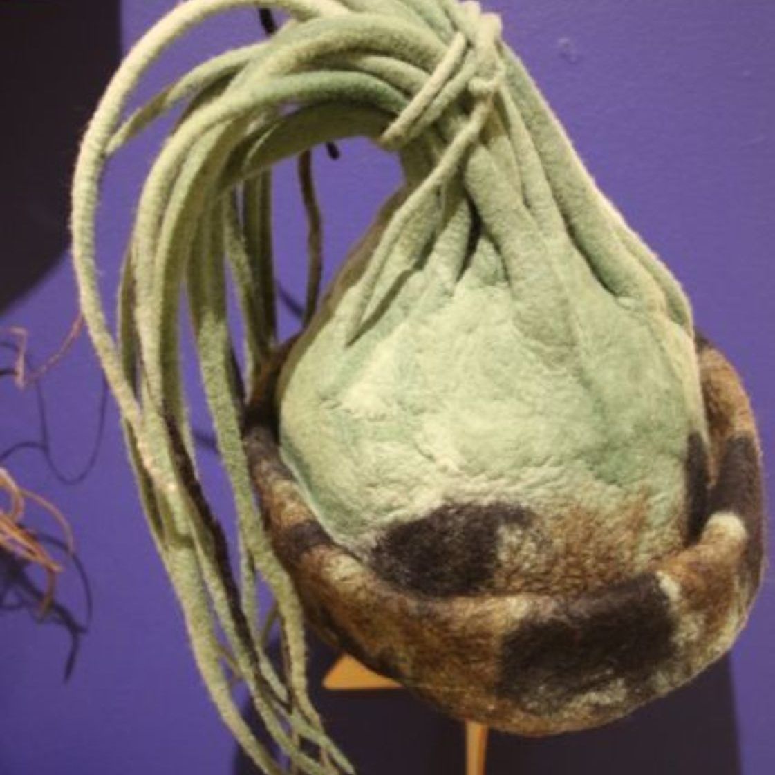 A green plant in a brown pot on a purple background