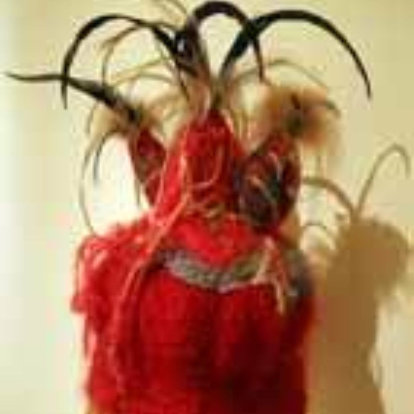 A close up of a red hat with feathers on it.