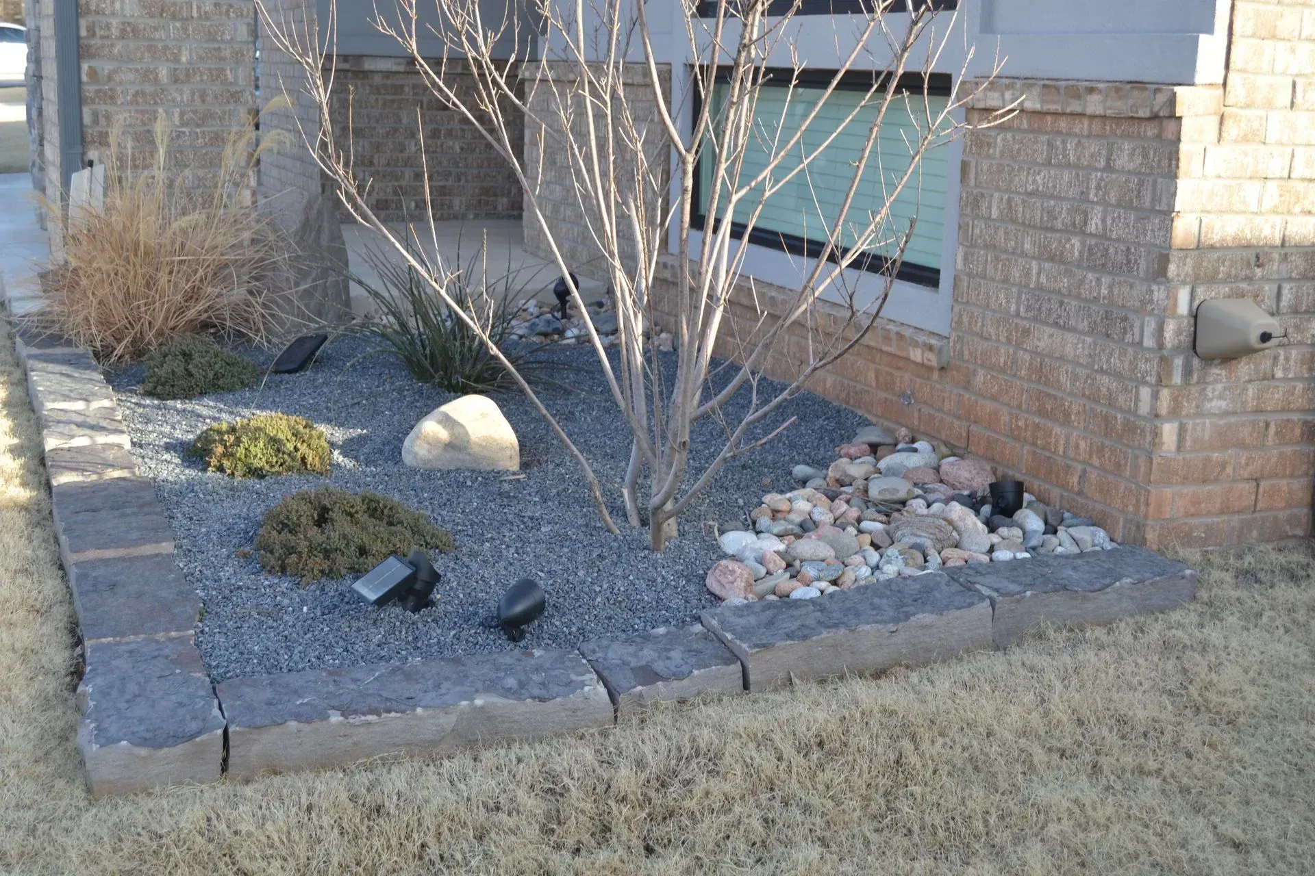 Flowerbed with gray stones, small plants, rocks, and a bare tree. Bordered by gray stone blocks near a brick building.