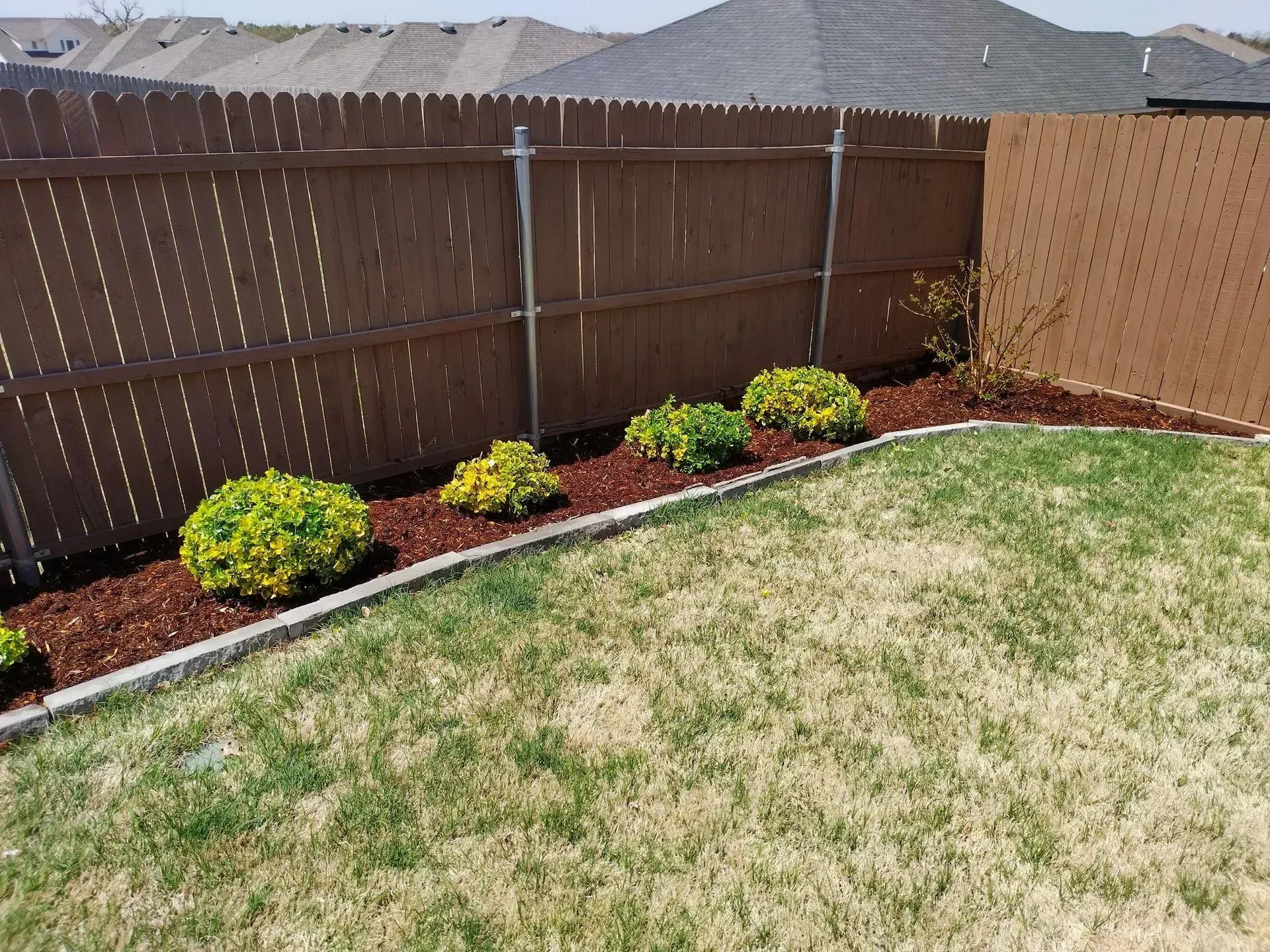 A backyard with a brown fence, green lawn, and flower bed with shrubs and mulch.