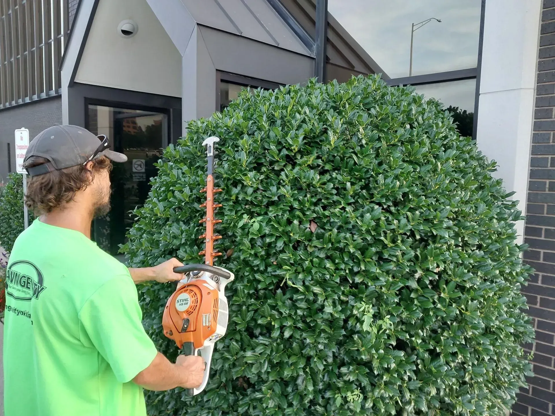 Man trimming a large green bush with a hedge trimmer near a building.
