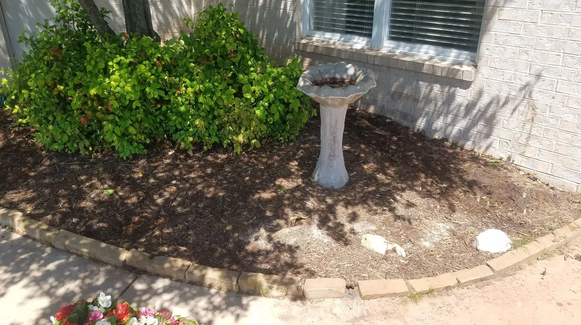 Bird bath in a mulched garden bed with a green bush and a window in the background.