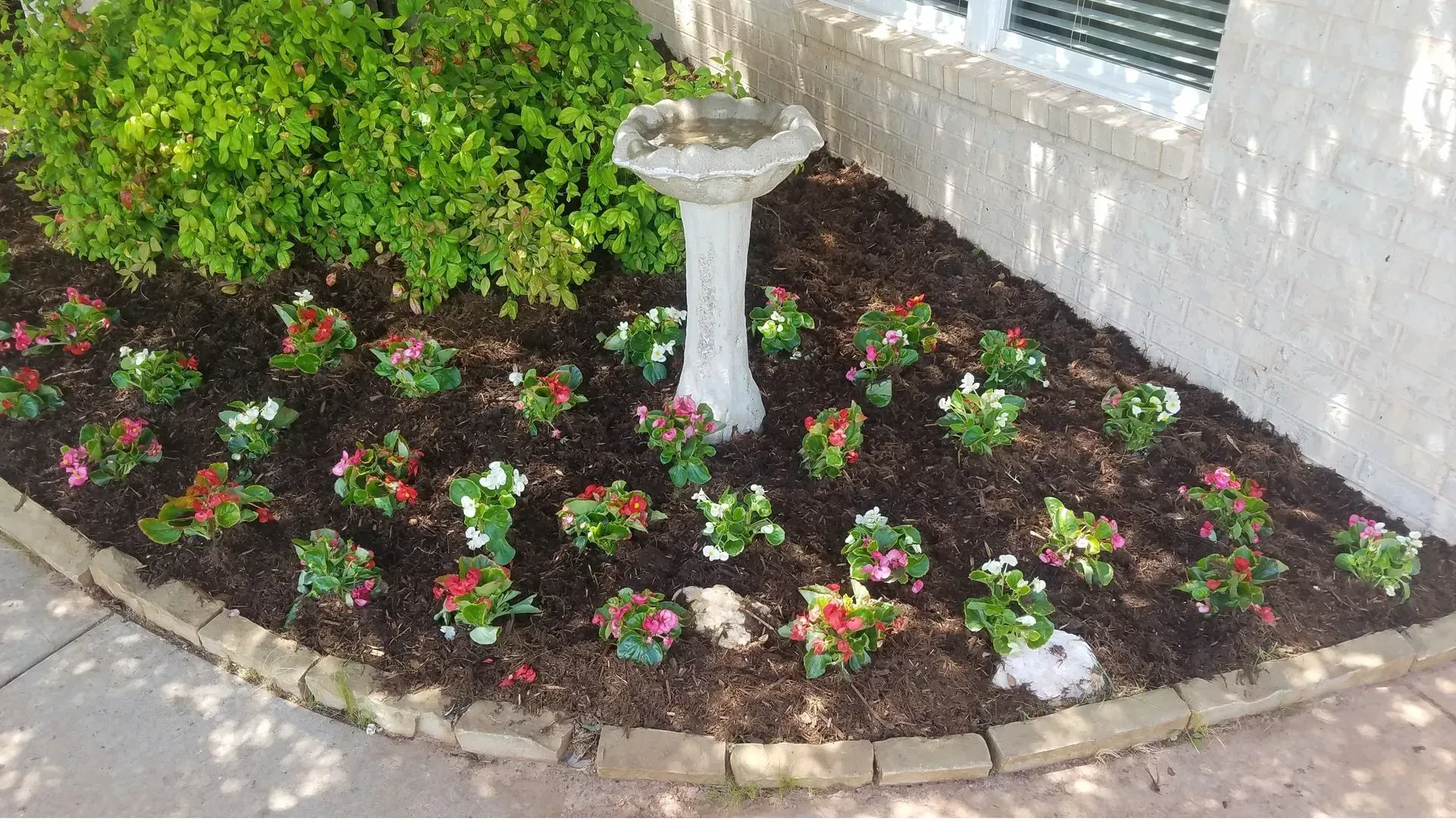 Flower bed with small flowers, bird bath, and green bush against a building.