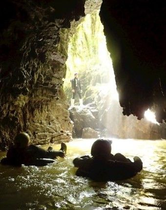 Palm Court Motel - blackwater rafting