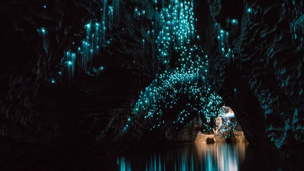 Palm Court Motel - Waitomo Caves