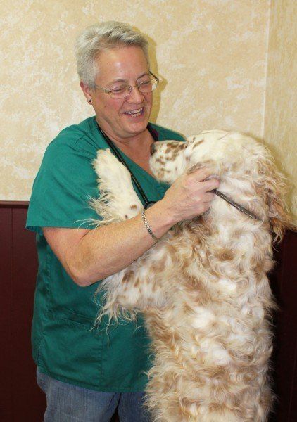 Our Veterinarians Kanuga Animal Clinic