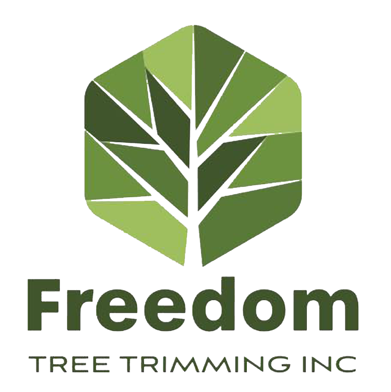 Logo for Freedom Tree Trimming Inc. featuring a green tree-like graphic inside a hexagonal shape, and dark green text.