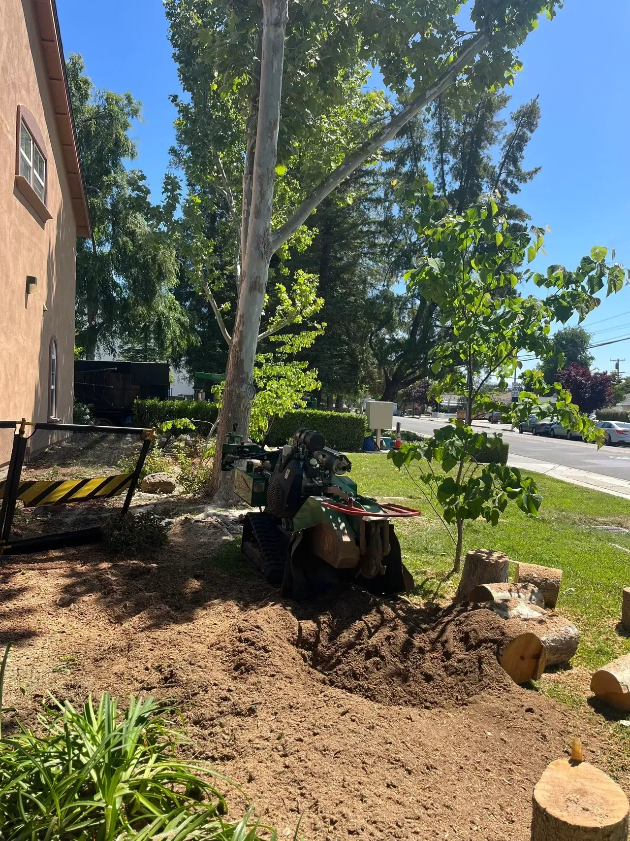 Stump grinder at work grinding a tree stump, next to a house on a sunny day.