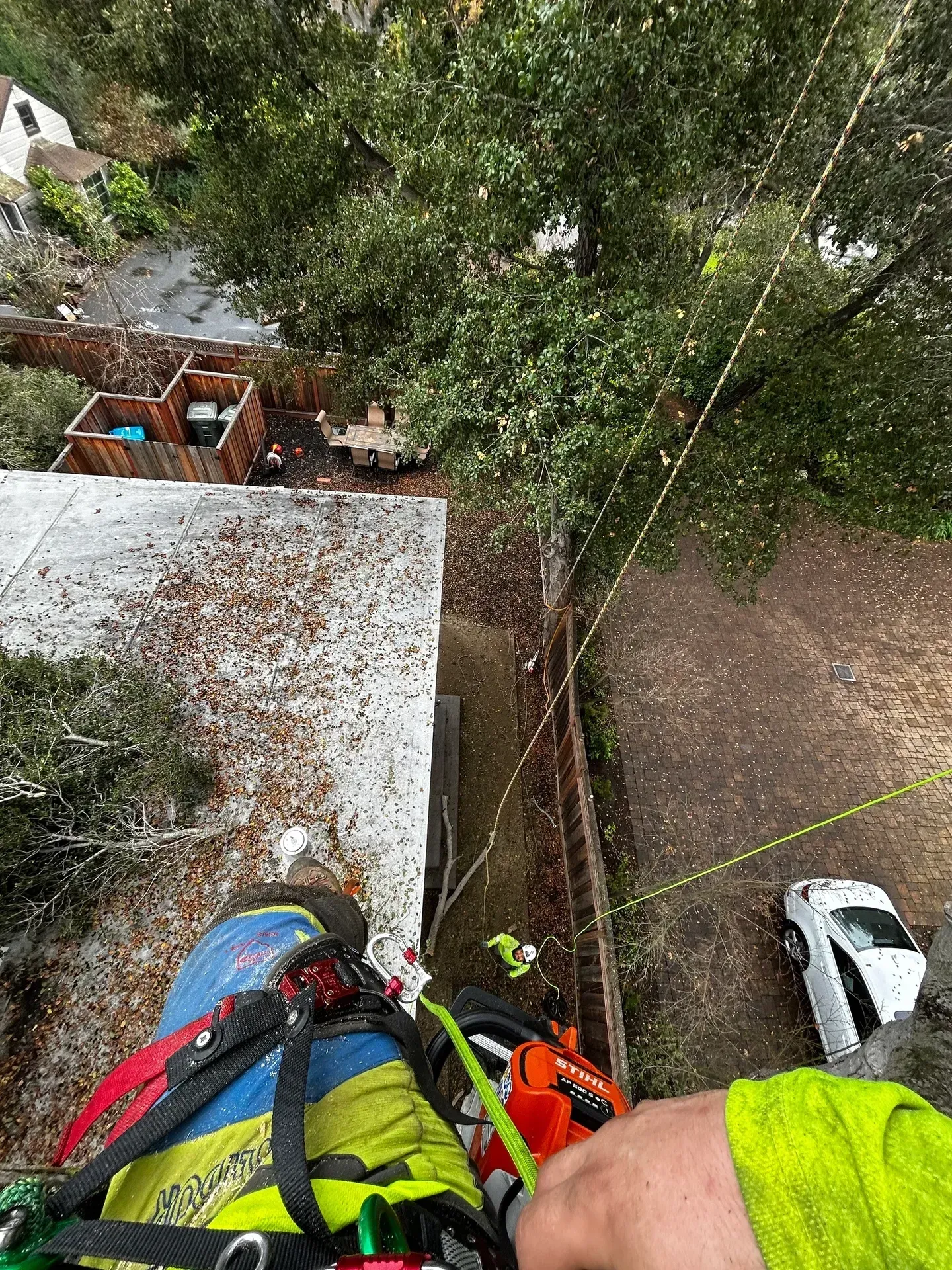 Person in safety gear on a roof, trimming a tree. Overhead view, bright green safety vest, white car below.