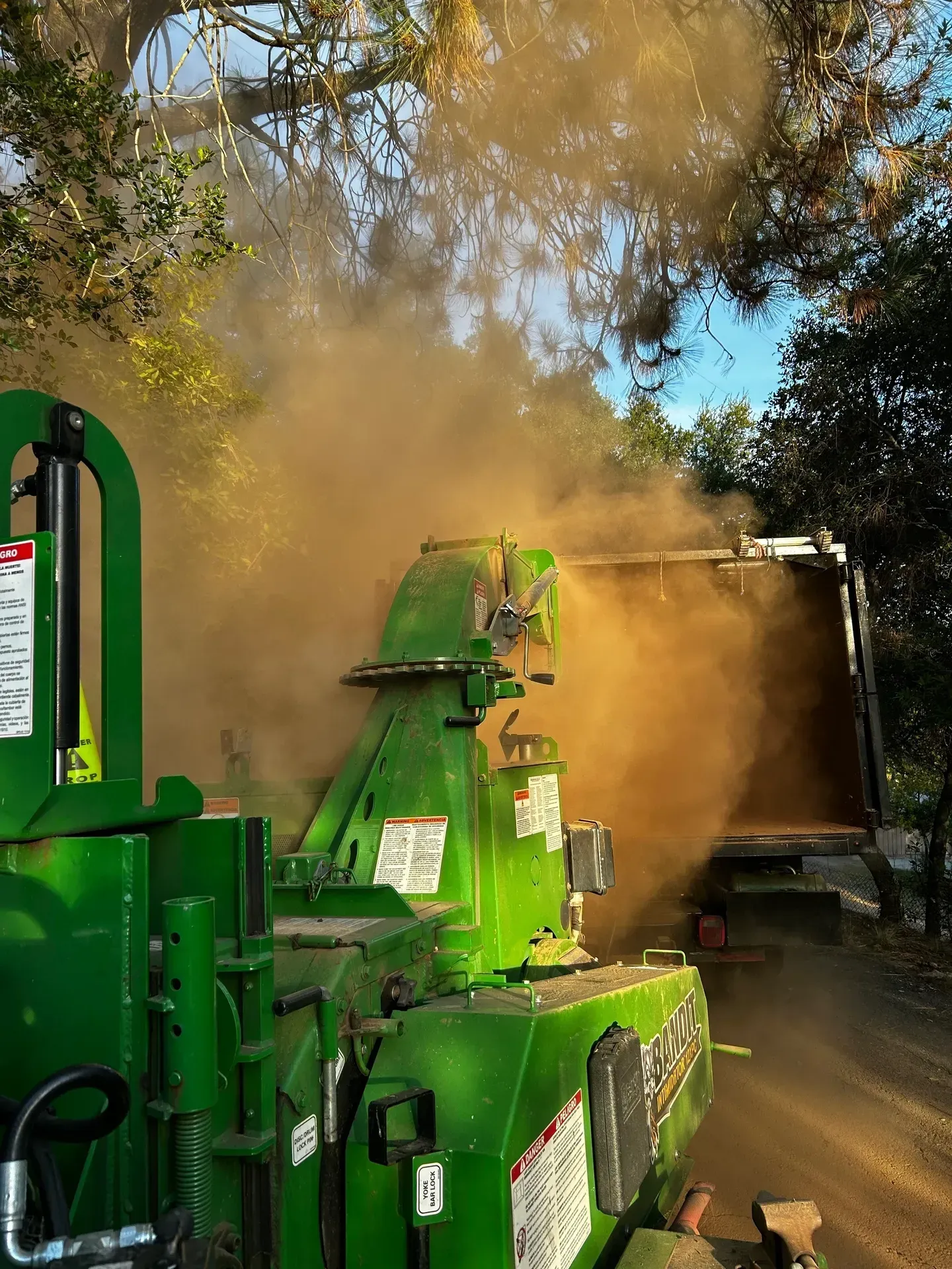 Green wood chipper blowing wood chips into a dump truck, creating a cloud of dust.