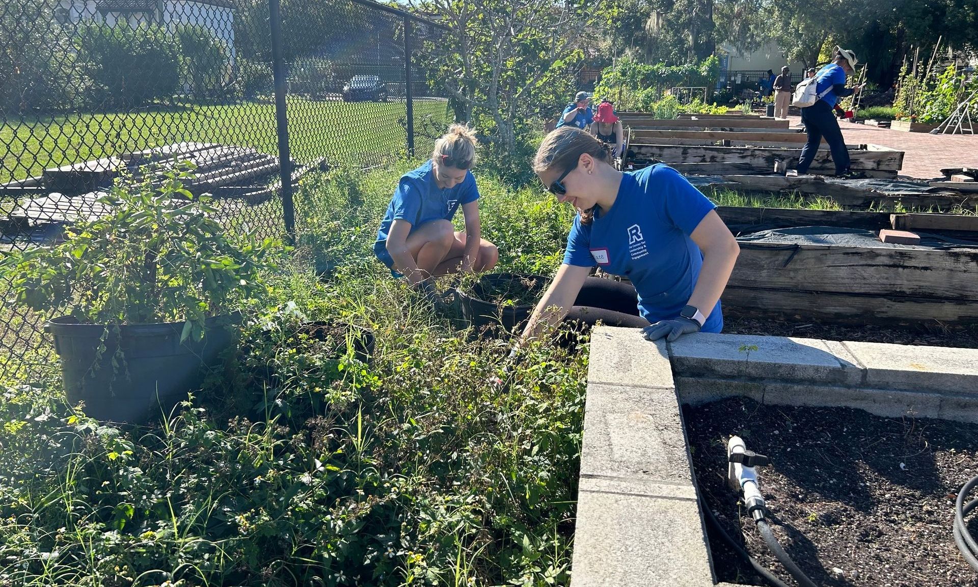 A group of people are working in a garden.