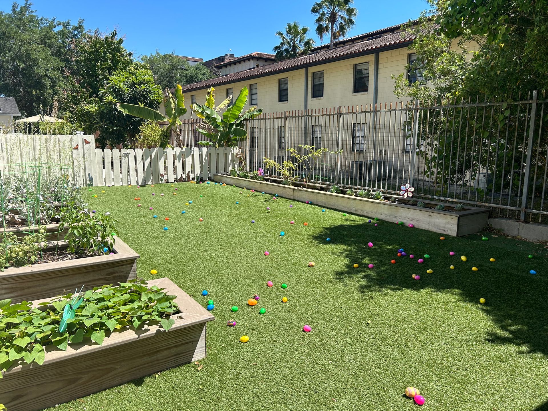 There are many easter eggs in the grass in the backyard.