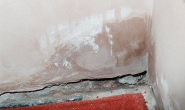 Damp wall