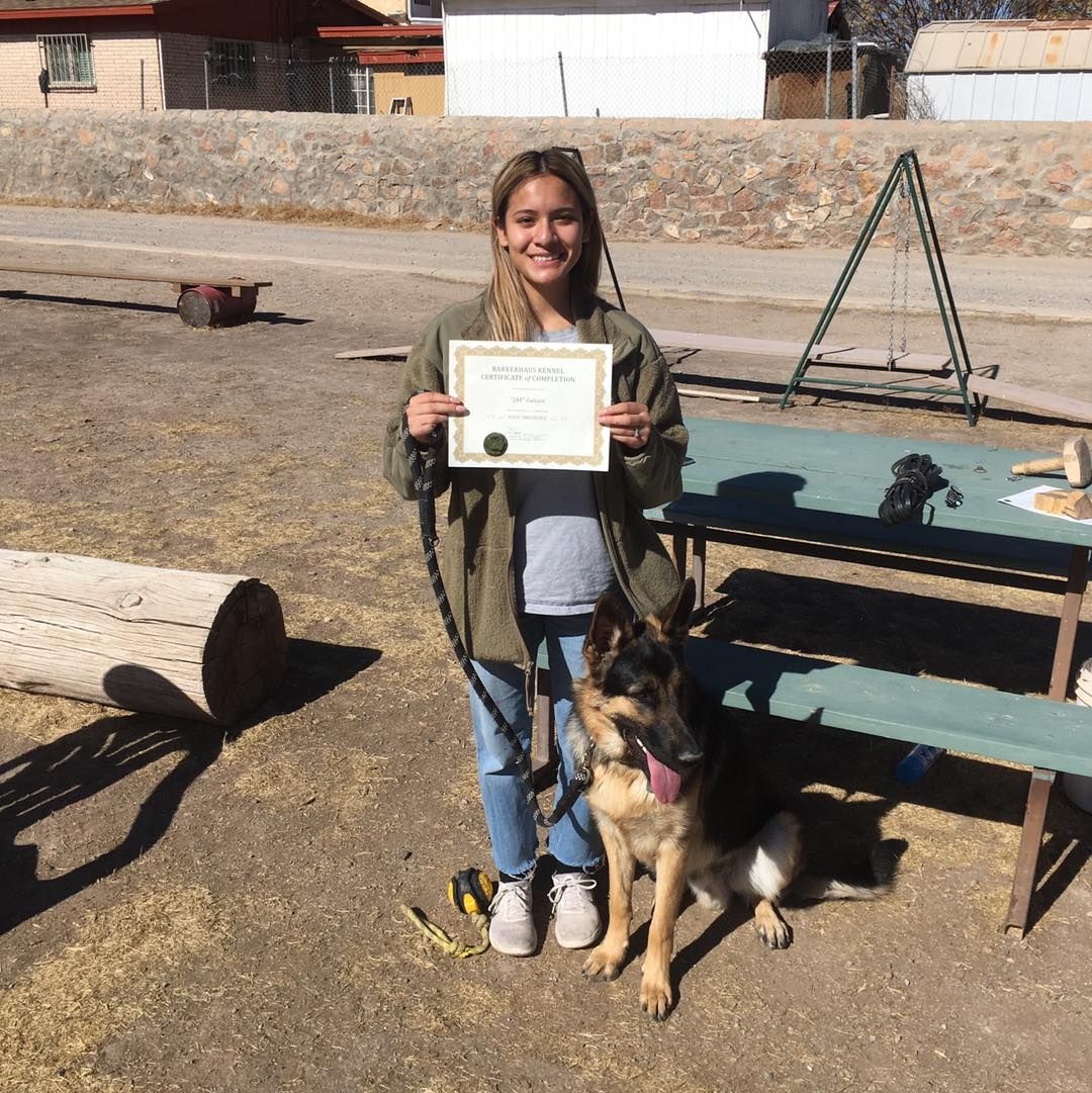 Woman with German Shepherd, holding certificate, smiling outdoors.