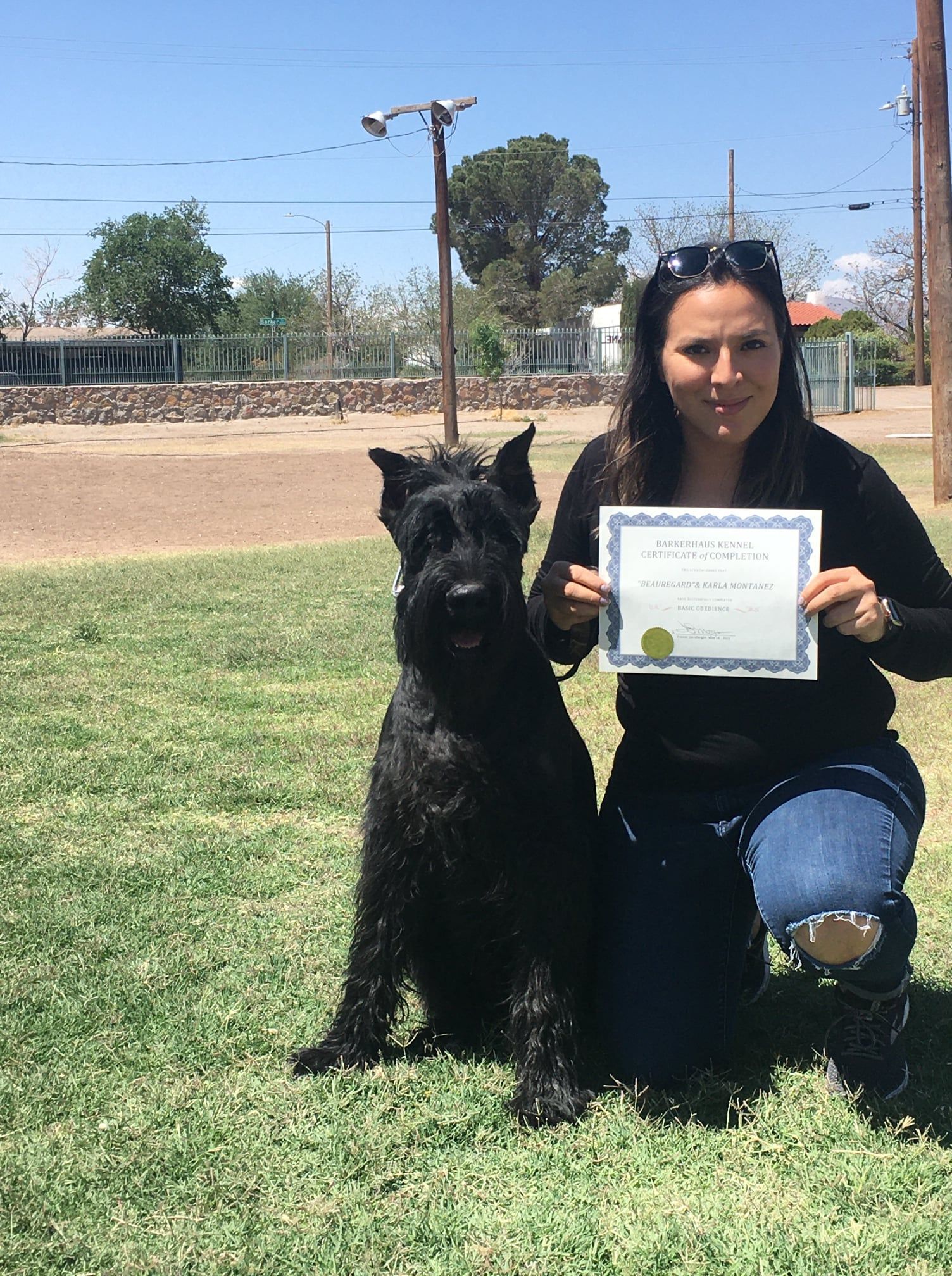 Woman and black Giant Schnauzer on grass holding a certificate outside on a sunny day.