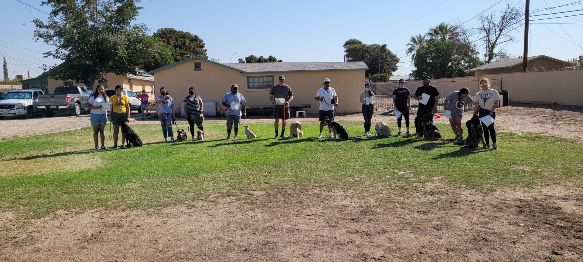 A group of people standing on grass with their dogs in front of a building on a sunny day.
