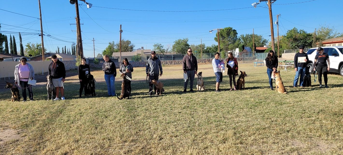 A group of people with dogs standing in a grassy field on a sunny day.