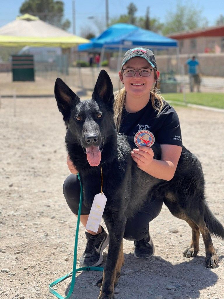 Woman kneels with a black German Shepherd, holding a ribbon at an outdoor dog event.