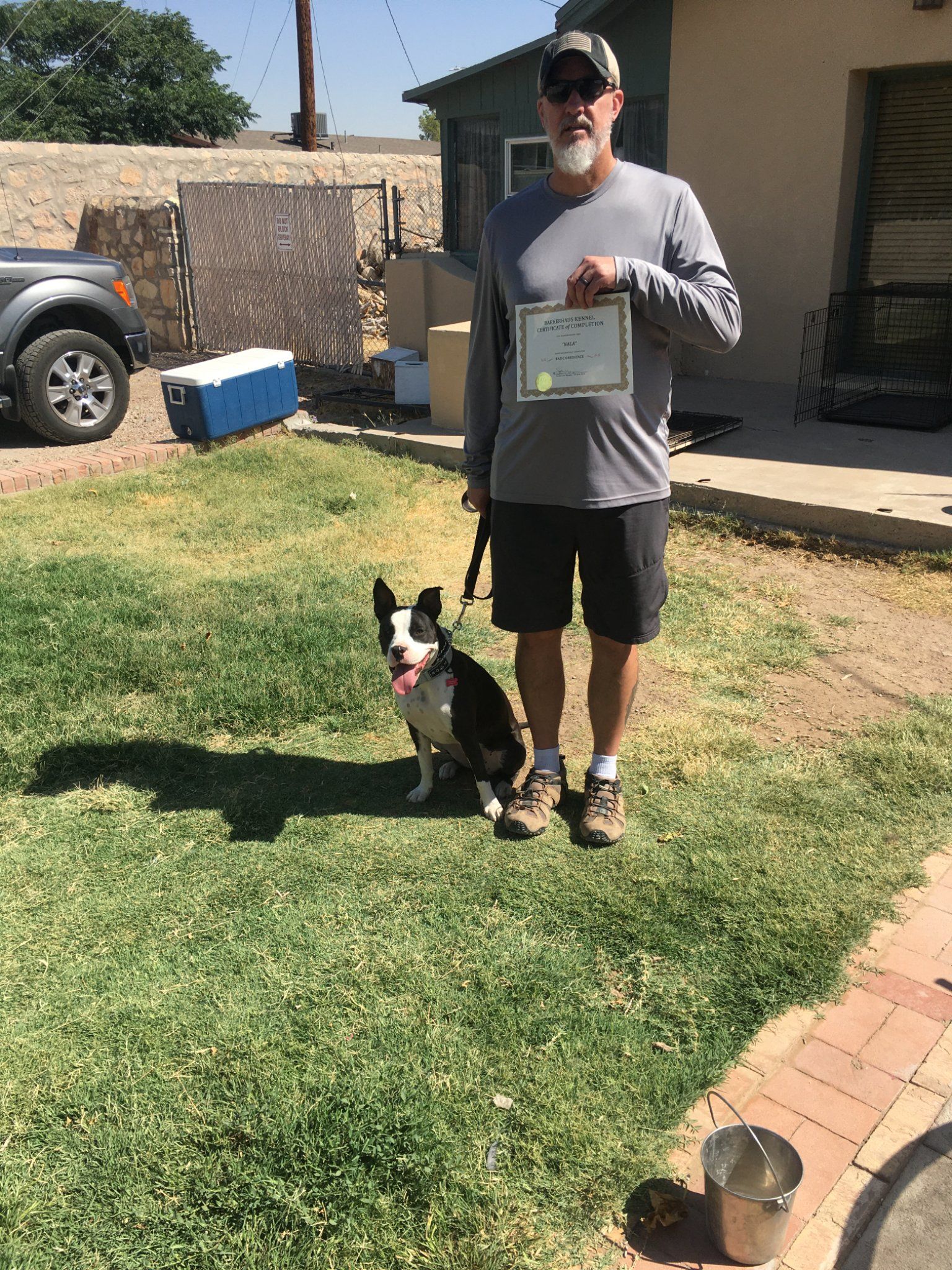 Man and Boston Terrier dog standing on grass, holding a certificate. Outdoor setting.
