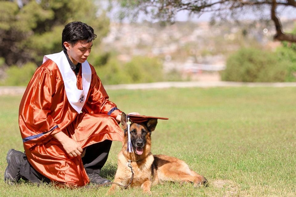A graduate in a red robe kneels next to a German Shepherd wearing a graduation cap on a grassy field.