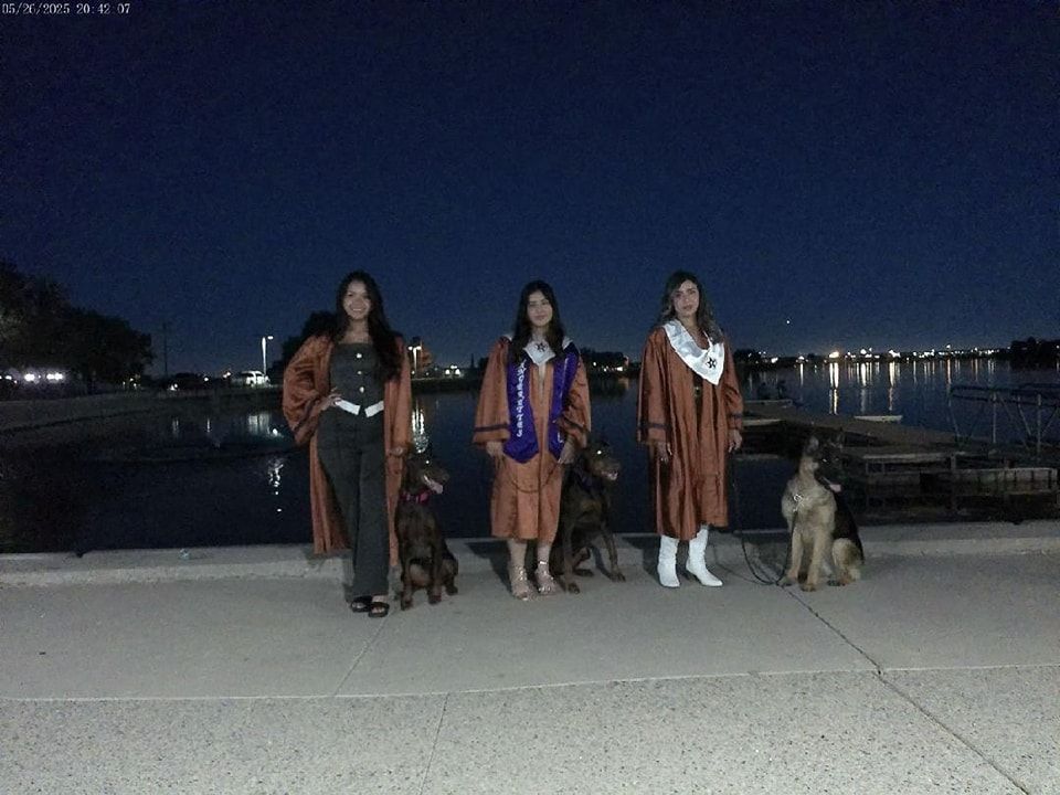 Three women in graduation gowns with dogs, posing on a waterfront at night.