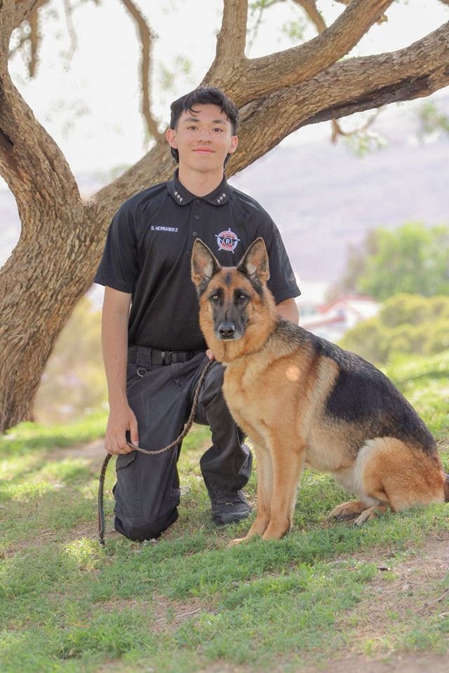 Teen in uniform kneels beside a German Shepherd dog. Outdoor setting with a tree and distant view.