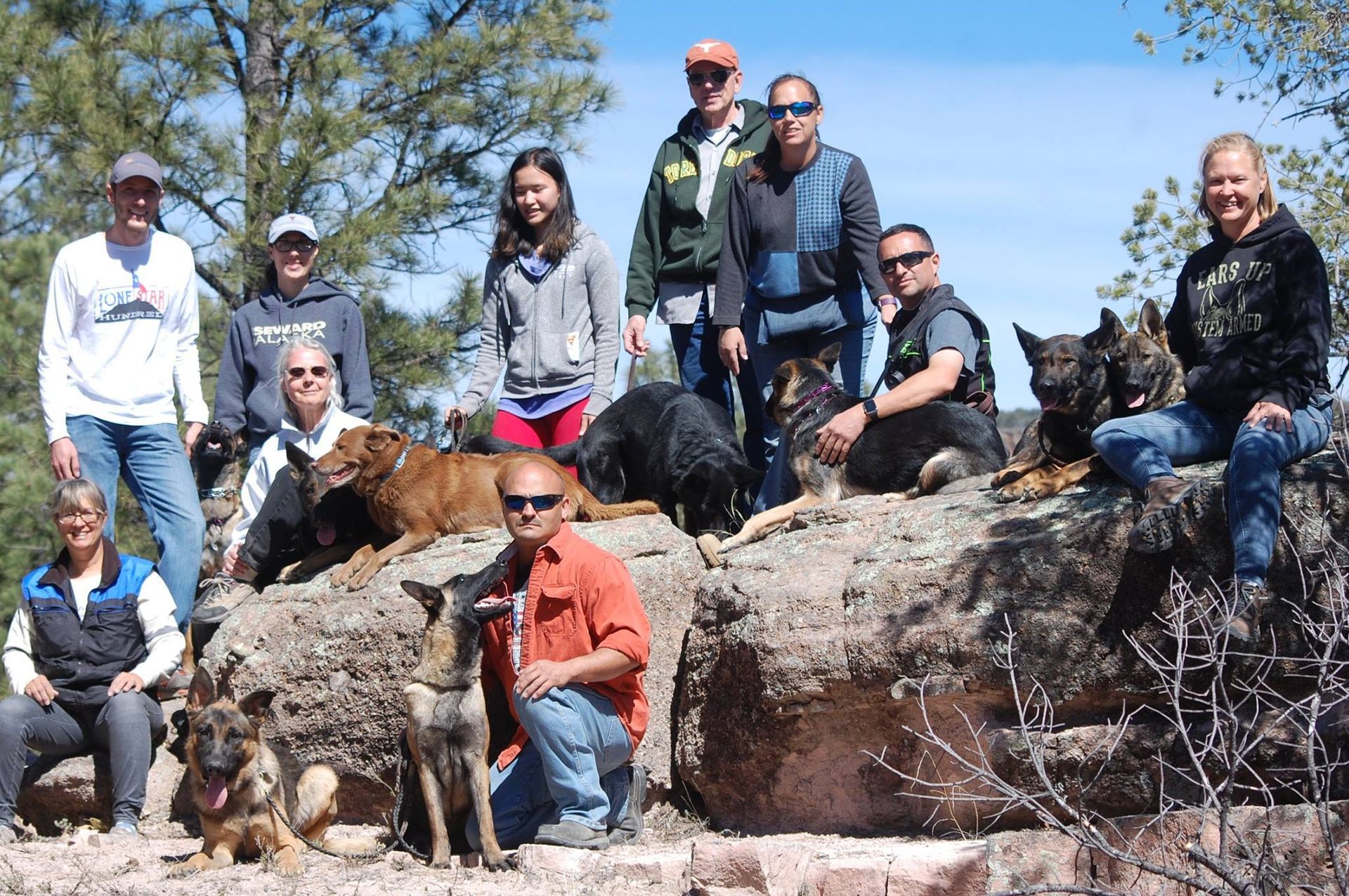 Group of people and dogs on a rocky outcrop; smiling, bright sky, various breeds.