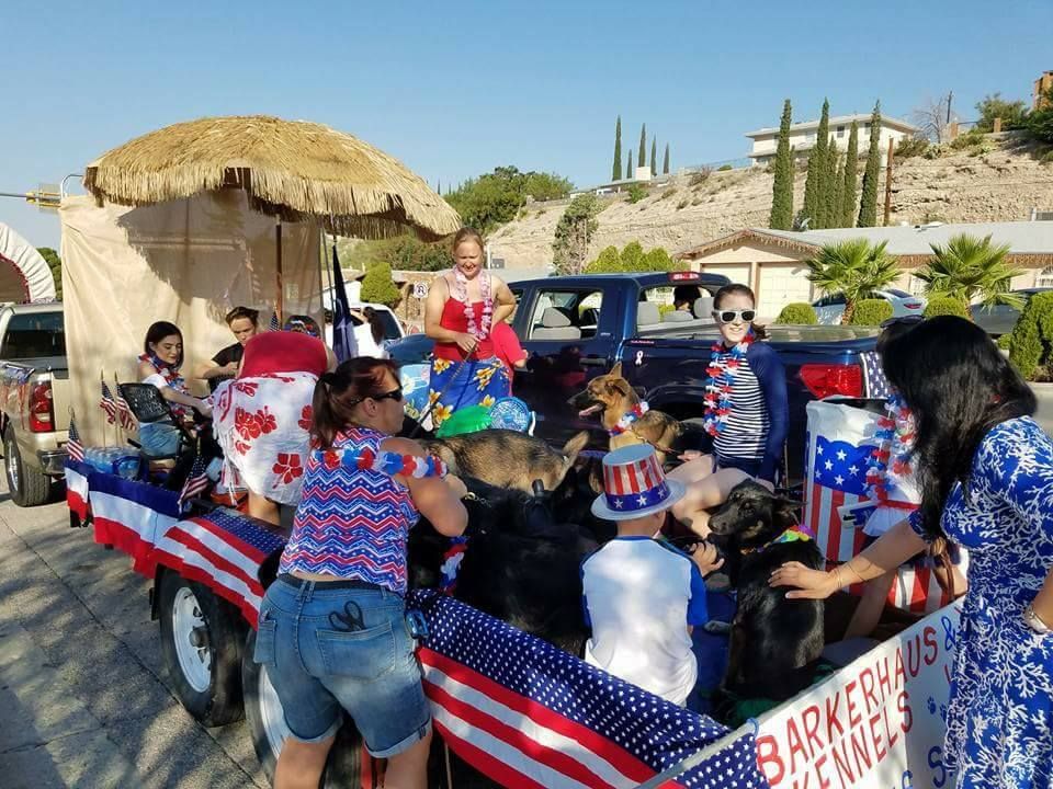 Dogs and people on a Fourth of July float with American flag decor, in a sunny outdoor setting.