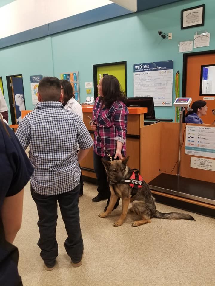 A German Shepherd service dog sits at a counter with a woman, a boy in a checkered shirt, and another person.