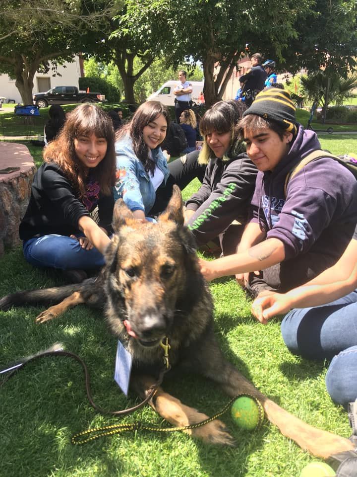 A group of people petting a dog on green grass outdoors.