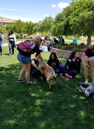 People in a park, petting a dog on a leash. Sunny day, green grass.