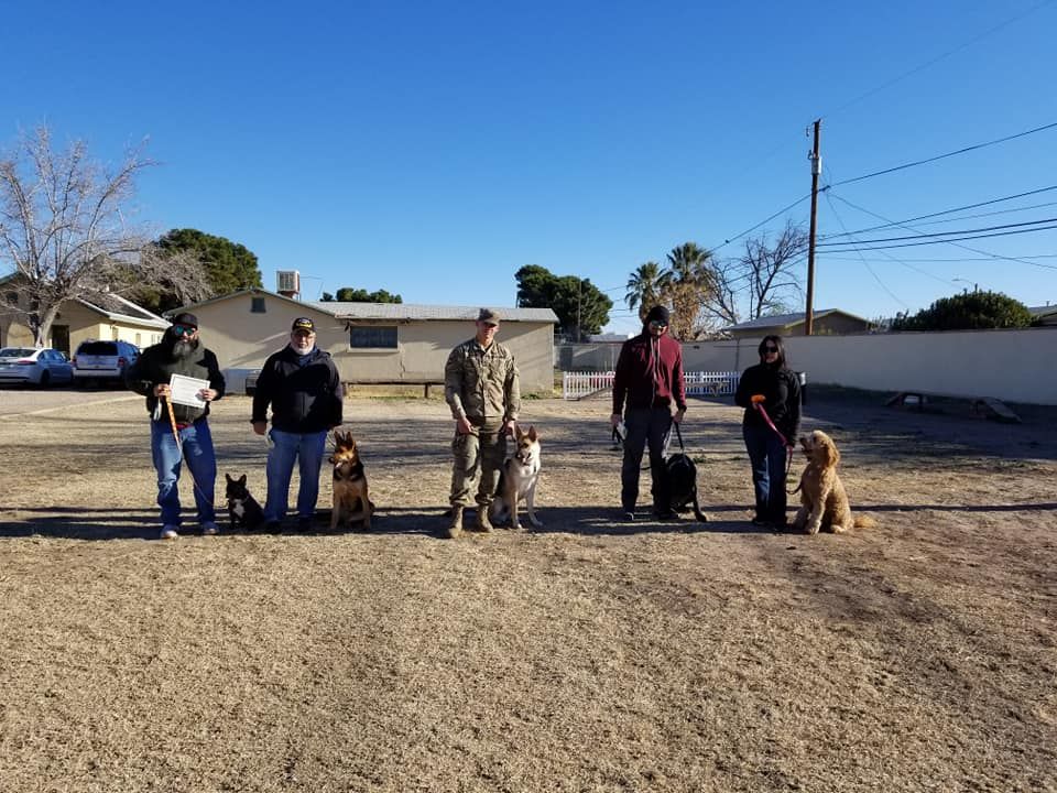 Group of people with dogs in a dirt yard. Blue sky.