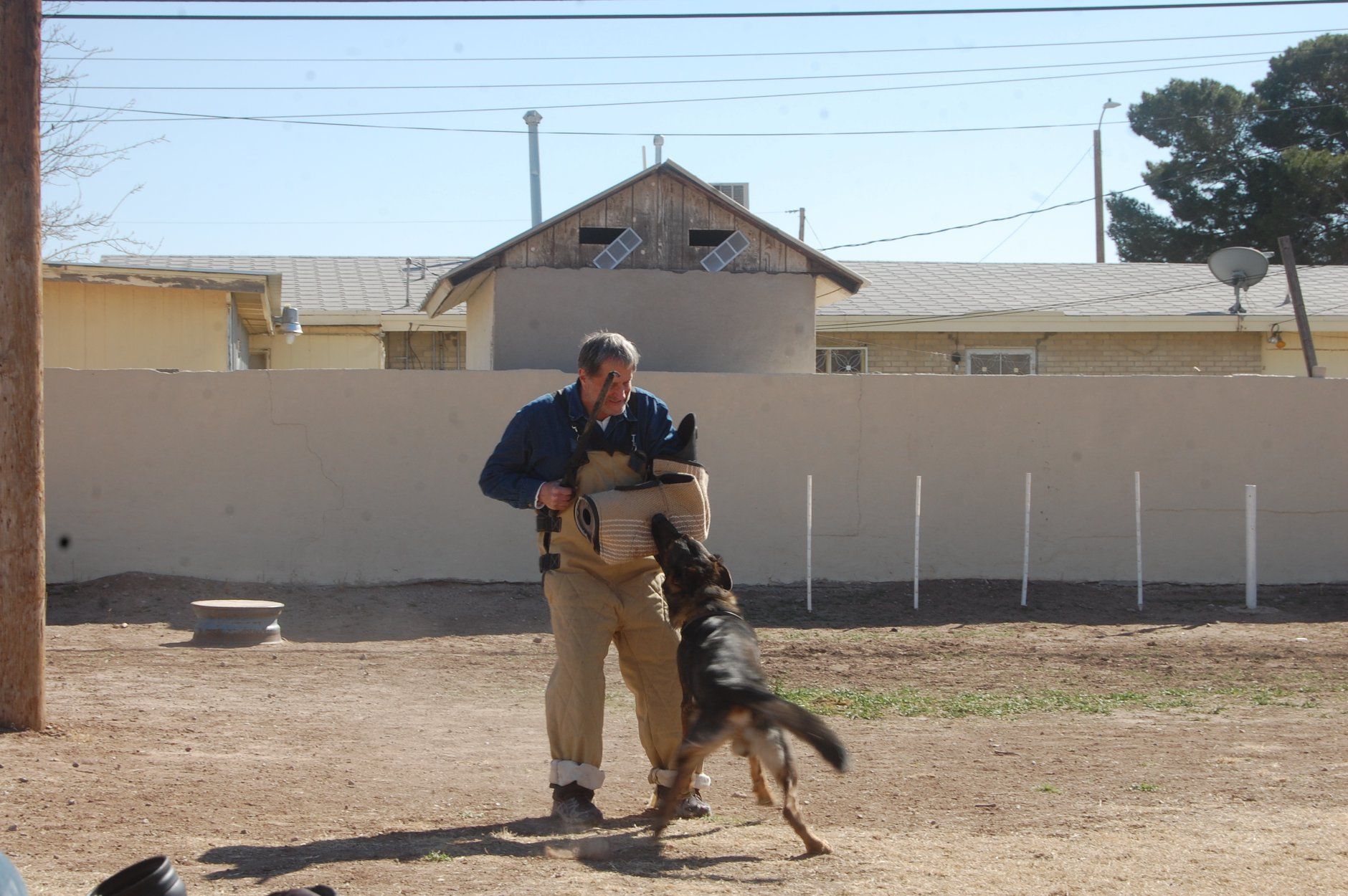 Man in protective gear being jumped on by a German Shepherd during training outdoors.