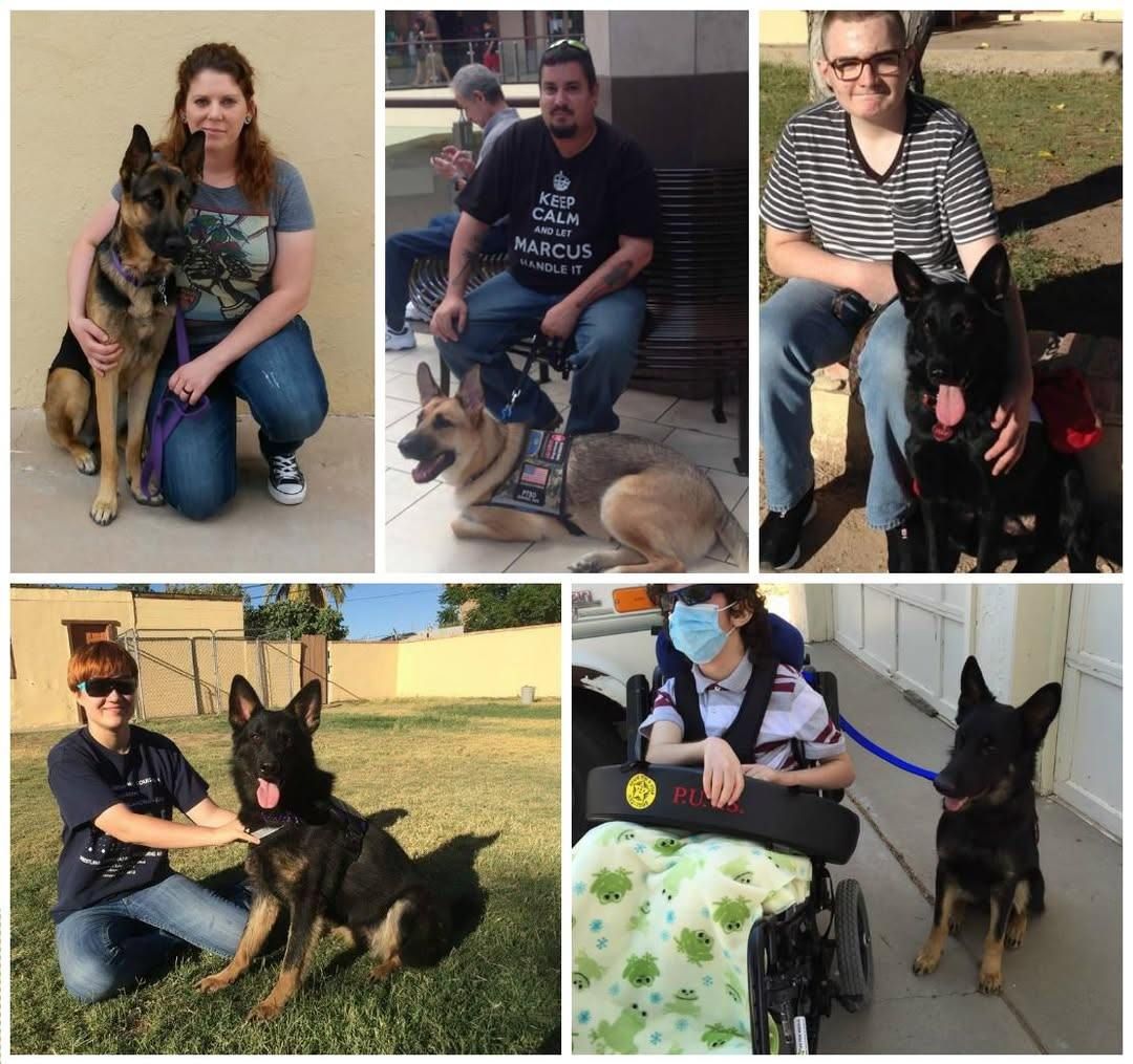 Collage of five people with German Shepherds; one person uses a wheelchair.