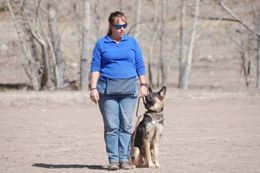 Woman in blue top and jeans with German Shepherd dog, training outdoors.