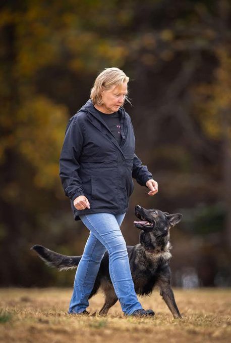Woman in blue jeans and jacket walks with a brindle dog on a grassy field.