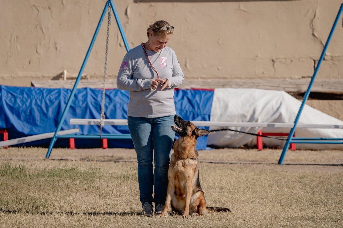 Woman training a German Shepherd dog outdoors with agility equipment; dog is sitting, looking up.