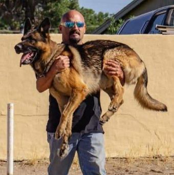 Man holding a large German Shepherd dog; outdoors. The dog's tongue is out.