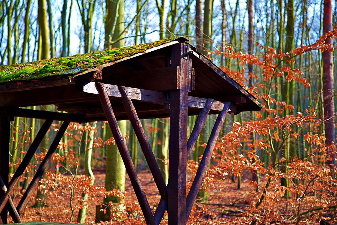 Wandlitz Makler Immobilien Fotografie