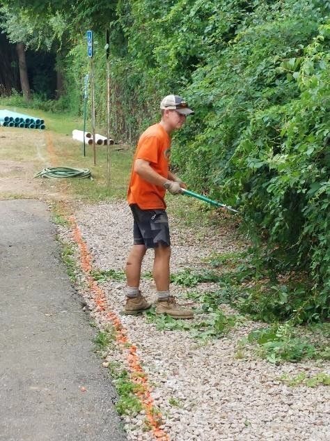 Worker Trimming Excess Leaves